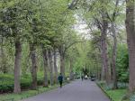 Saint Stephen's Green Park in Dublin