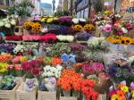 Colorful flowers seen on Grafton Street