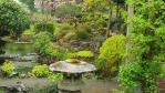 Japanese Garden at The Irish National Stud