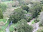 View from atop Blarney Castle