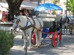 Horse carriage in Mijas
