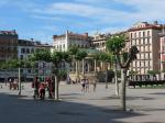 Pamplona main square - the trees are trimmed to maximize shade when they grow back