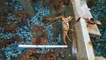 Really big, farm-raised lobsters