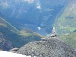 Geiranger Skywalk - Dalsnibba 1500 meter