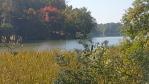 Roland Cooper State Park