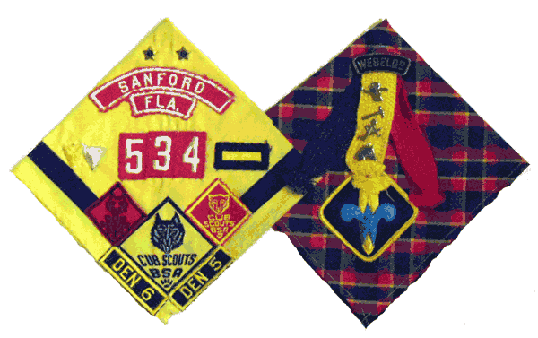Cub Scout Awards and Scarfs